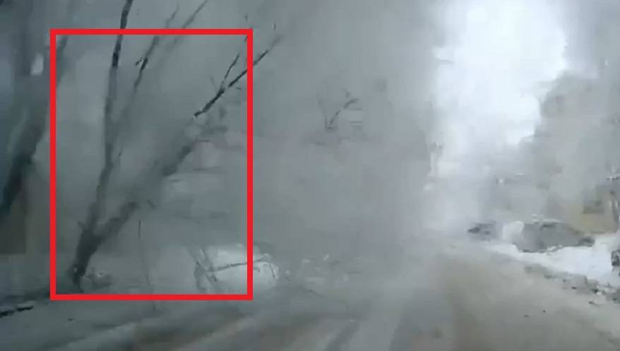 Рухнувшее дерево едва не похоронило под собой водителя в авто (видео) Рухнувшее дерево едва не похоронило под собой водителя в авто (видео)