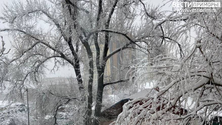 Китайский циклон несет смешанные осадки в Приморье Китайский циклон несет смешанные осадки в Приморье