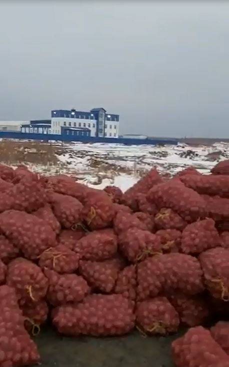 Фермер из Приморья бросил прямо у дороги 27 тонн отборного картофеля
