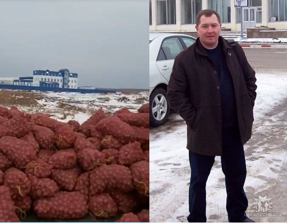 "Погорячился": жители Чугуевки о фермере, бросившем на обочине 27 тонн картофеля
