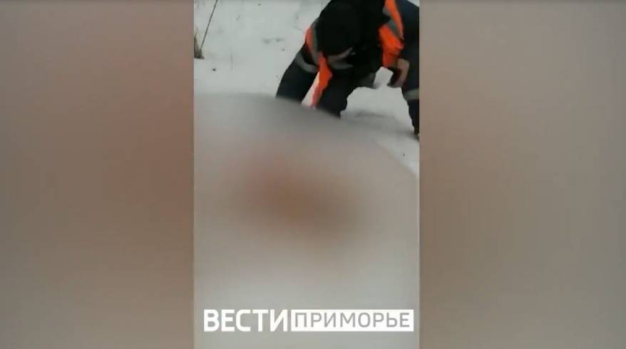 "Осталось полголовы": страшная находка обнаружена в ста метрах от приморского села