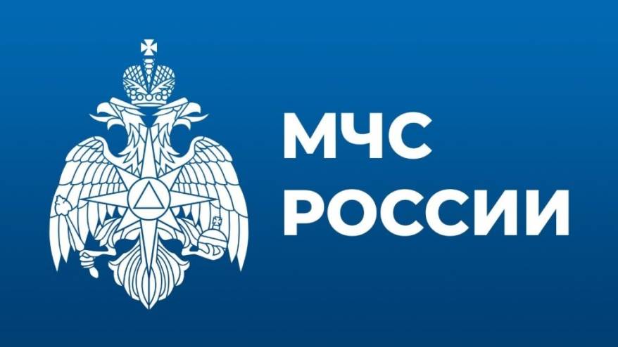 Путин освободил от должности первого замглавы МЧС Александра Чуприяна