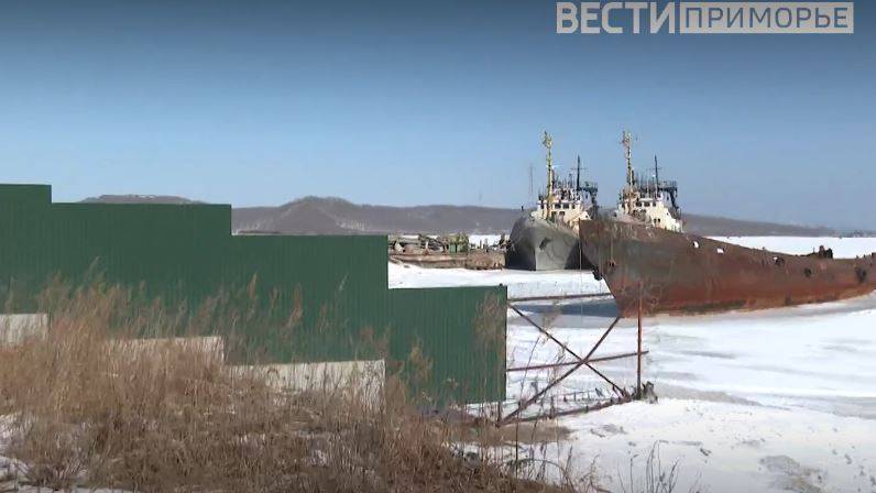 Бухта гибнет: жители Русского острова бьют тревогу