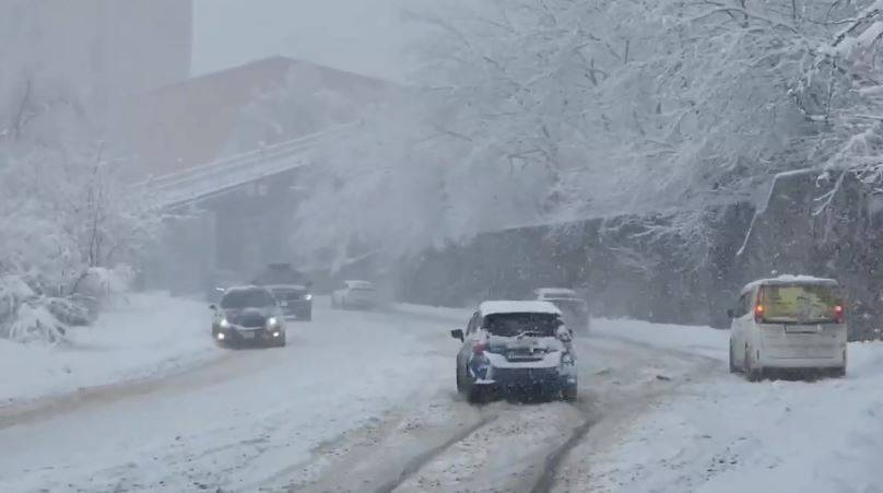 Cильный снегопад накроет Приморье. Gismeteo назвал дату