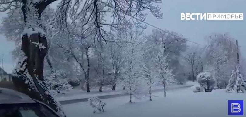 Зима вернулась: снежными кадрами делятся приморцы в Сети Зима вернулась: снежными кадрами делятся приморцы в Сети