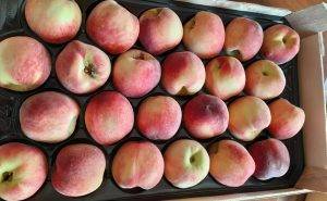 Первые в 2023 году партии слив, нектаринов и персиков поступили в Приморье из КНР Первые в 2023 году партии слив, нектаринов и персиков поступили в Приморье из КНР