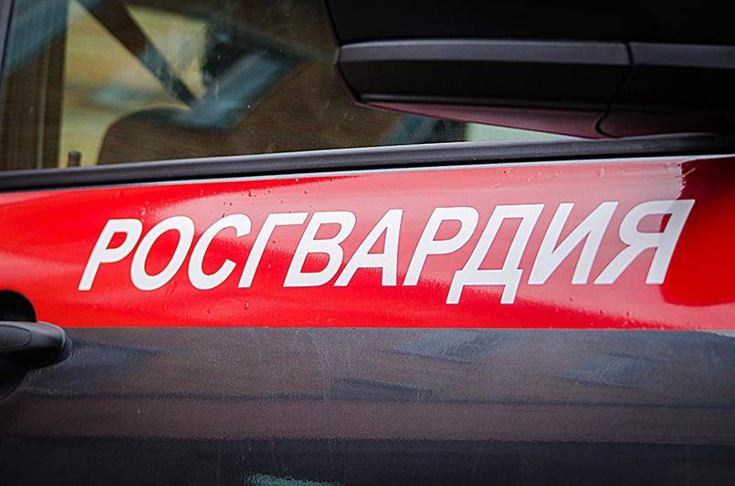 Росгвардия: Обнаружили у молодого человека нож, мачете и деревянную биту Росгвардия: Обнаружили у молодого человека нож, мачете и деревянную биту