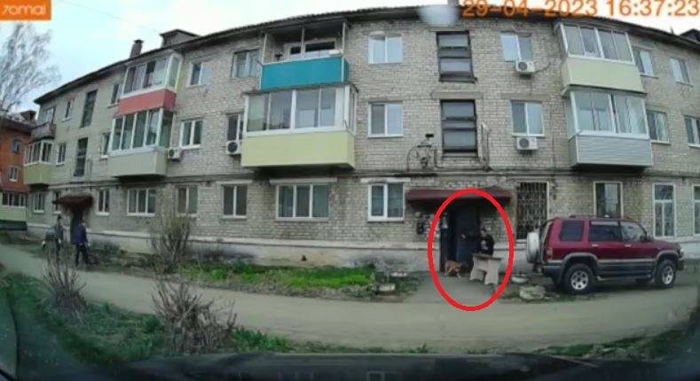 Собака бойцовской породы напала на мужчину в Приморье