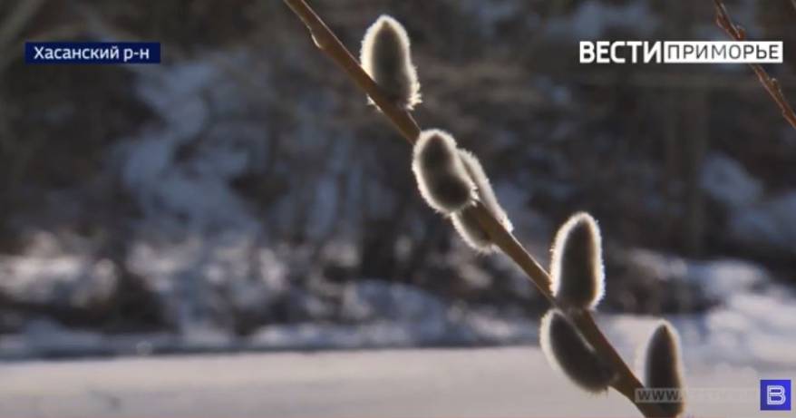Что строго запрещено делать в Вербное воскресенье