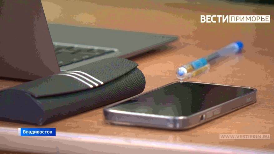 Власть в Сети: Как муниципалитеты Приморья исполняют особое распоряжение правительства?