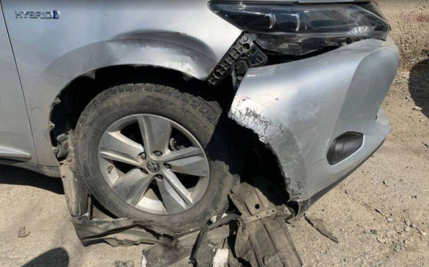 "Такого еще не было": автомобиль стал жертвой четвероногих бродяг во Владивостоке