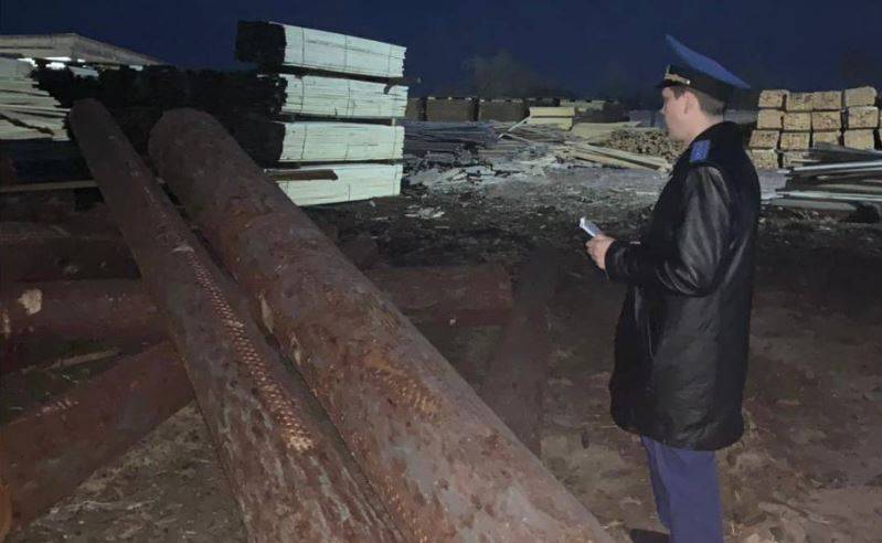 Ребенка убило бревном на деревообрабатывающем предприятии в Приморье