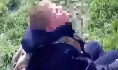 "Рыдает от боли": Свора собак набросилась и покусала ребенка в Приморье