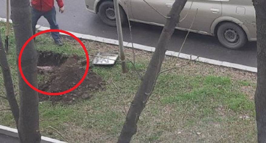Мужчина выкопал могилу у дороги в городе Мужчина выкопал могилу у дороги в городе