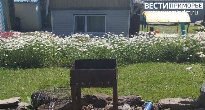 "С 1 сентября по-новому": Мишустин утвердил новые правила возведения построек на участках "С 1 сентября по-новому": Мишустин утвердил новые правила возведения построек на участках