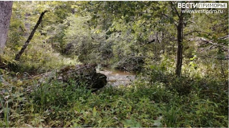 «Чтобы с вами также сделали»: Бесчеловечный поступок шокировал приморцев (фото)