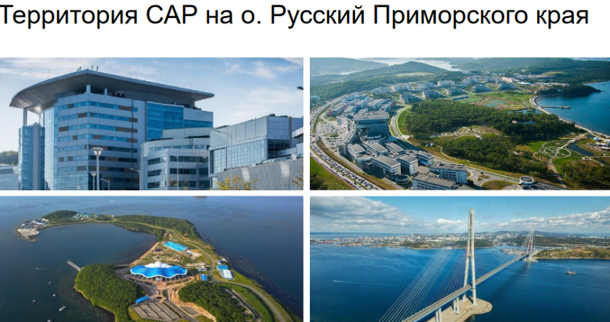 Остров Русский получит новых резидентов для офшора