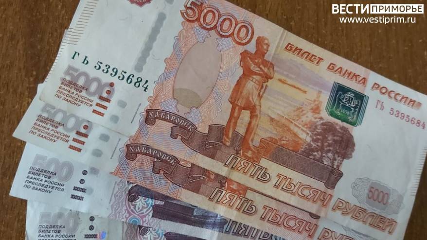 От 4,5 тыс рублей: более девяти тысяч приморцев получают специальную социальную выплату