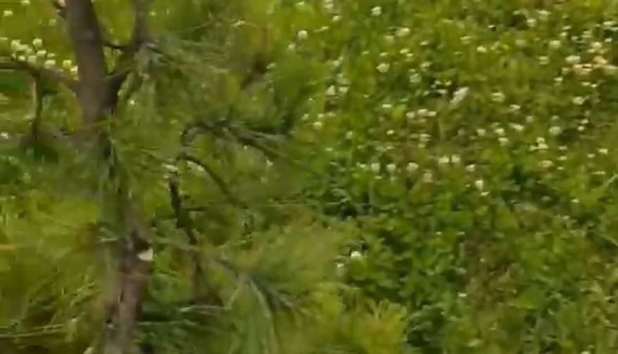 Женщина со слезами на глазах рассказала, на кого не могут найти управу в Славянке Женщина со слезами на глазах рассказала, на кого не могут найти управу в Славянке