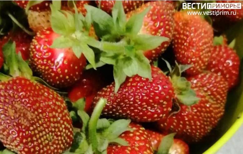 «Клубничку хотите?»: "Вкусный" фестиваль состоится в Приморье 17 июня «Клубничку хотите?»: "Вкусный" фестиваль состоится в Приморье 17 июня