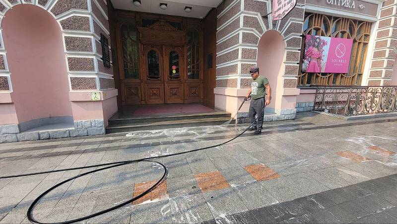 Владивосток моют с шампунем Владивосток моют с шампунем