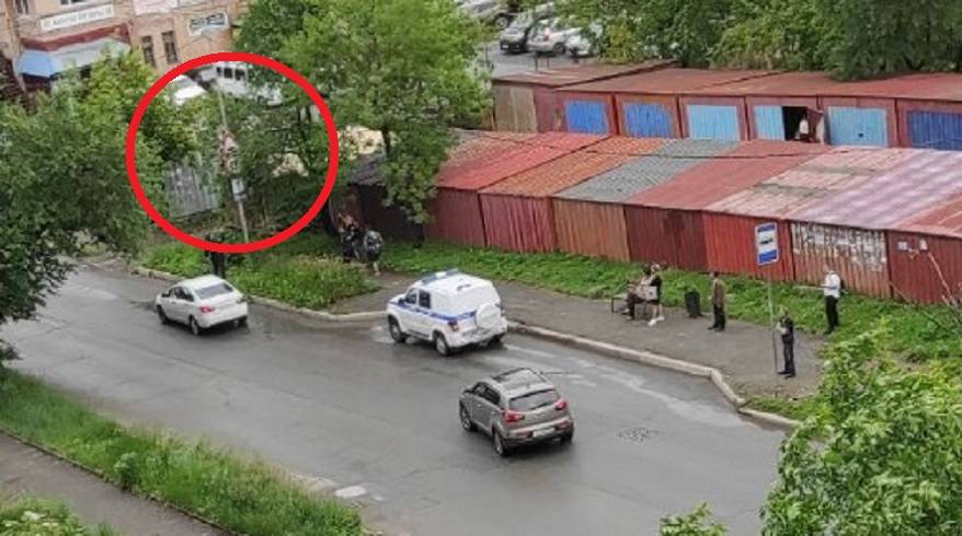 Полуголый мужчина решил «прописаться» на столбе (видео) Полуголый мужчина решил «прописаться» на столбе (видео)