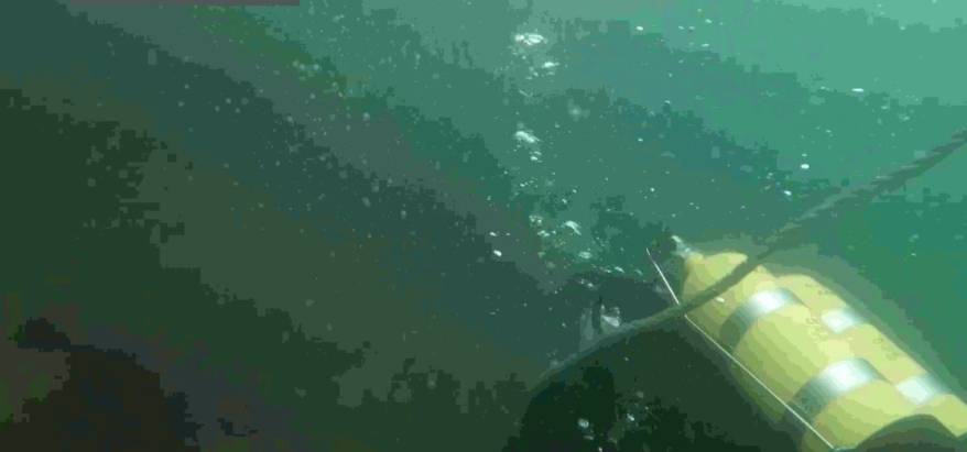 В Приморье завершены поиски пропавшего дайвера