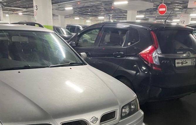 «Очень просились»: Увиденное на парковке океанариума ввело в недоумение (видео)