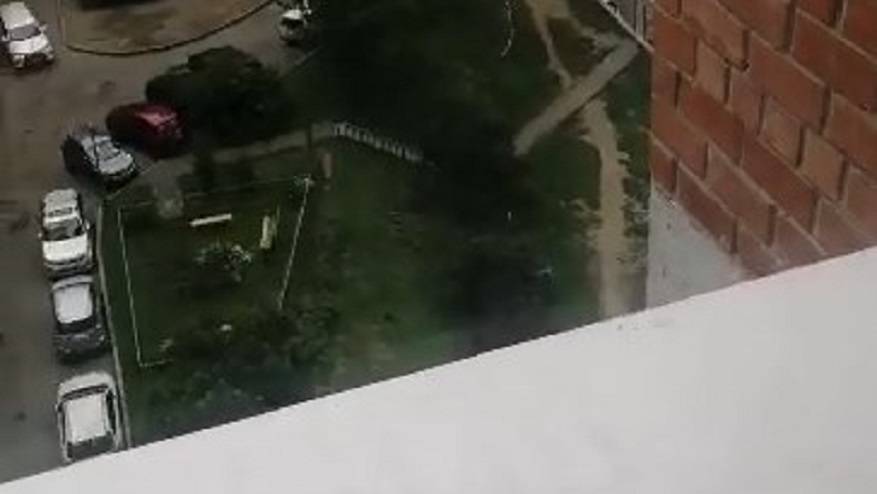 «Обезглавленная лежала»: Владелец квартиры в многоэтажке – в недоумении от увиденного «Обезглавленная лежала»: Владелец квартиры в многоэтажке – в недоумении от увиденного