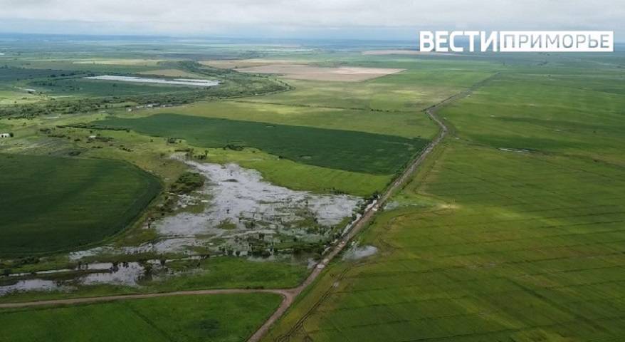 Опасное агрометеорологическое явление наблюдают в Приморье Опасное агрометеорологическое явление наблюдают в Приморье