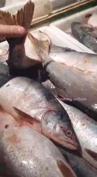 "Дурят покупателей": приморец рассказал о вопиющем обмане на рынке во Владивостоке