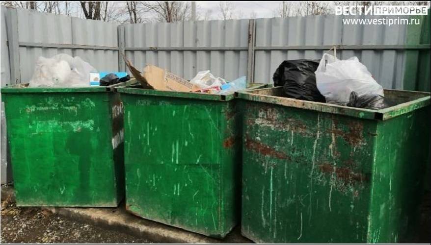 «Элита» оказалась выброшена на помойку во Владивостоке «Элита» оказалась выброшена на помойку во Владивостоке
