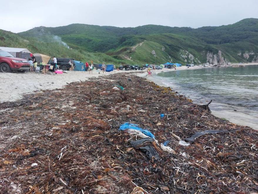 Шторм изменил до неузнаваемости популярное место отдыха в Приморье