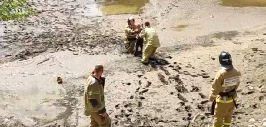 Спасатели пришли на помощь ребенку, застрявшему в грязи на реке Дачной