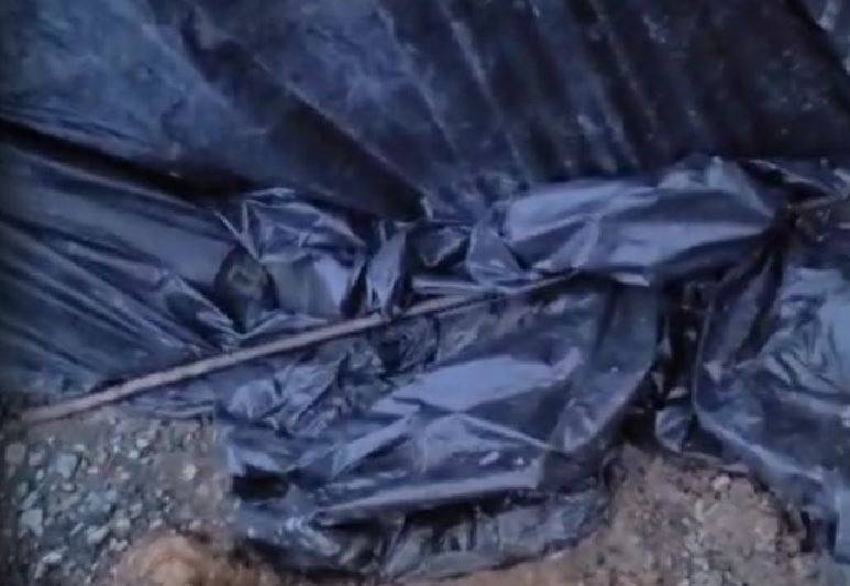 "Размозжили череп": чудовищный случай произошел на одной из строек во Владивостоке