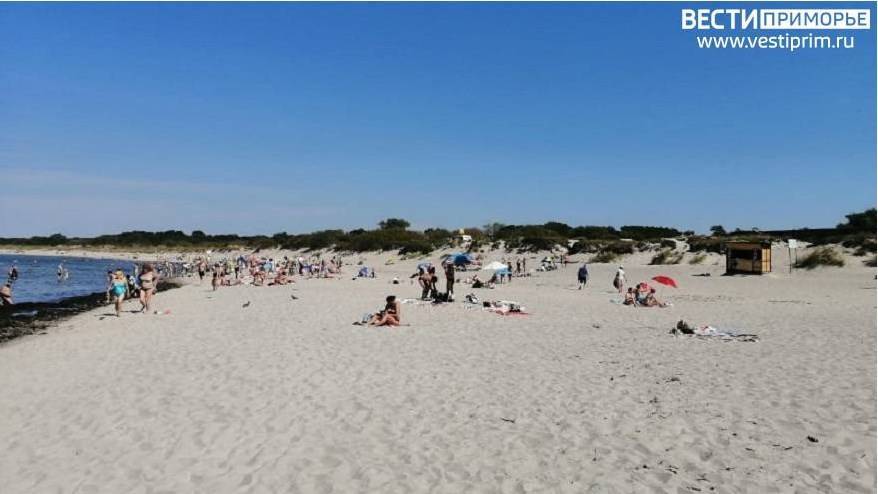 Жителя Владивостока по суду заставили привести в порядок пляж в бухте Щитовой