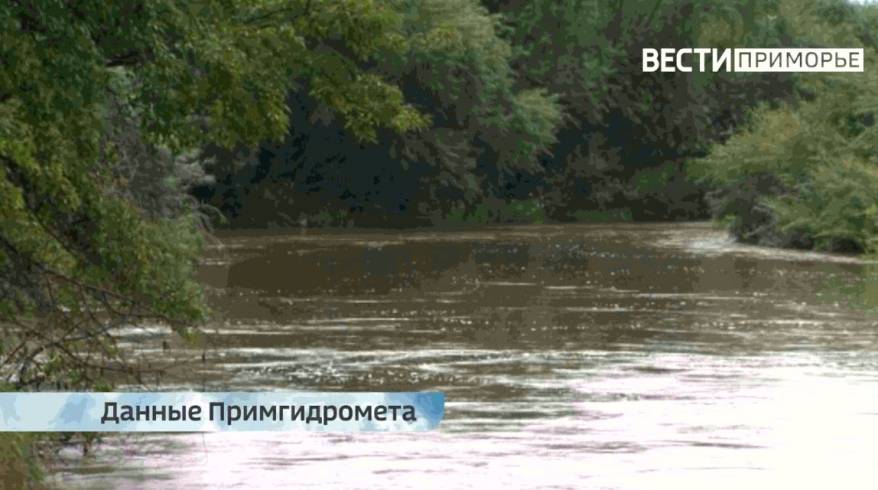 "Весь урожай под водой": река затопила приморское село