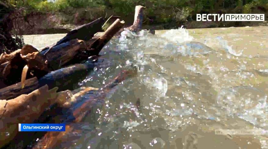 Уровень воды в реке Раздольная приближается к критической отметке Уровень воды в реке Раздольная приближается к критической отметке