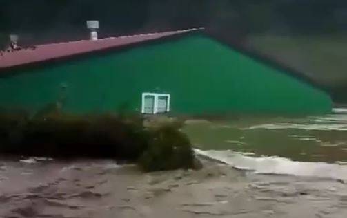 Катастрофа в Приморье: Барабашевский рыборазводный завод полностью затоплен