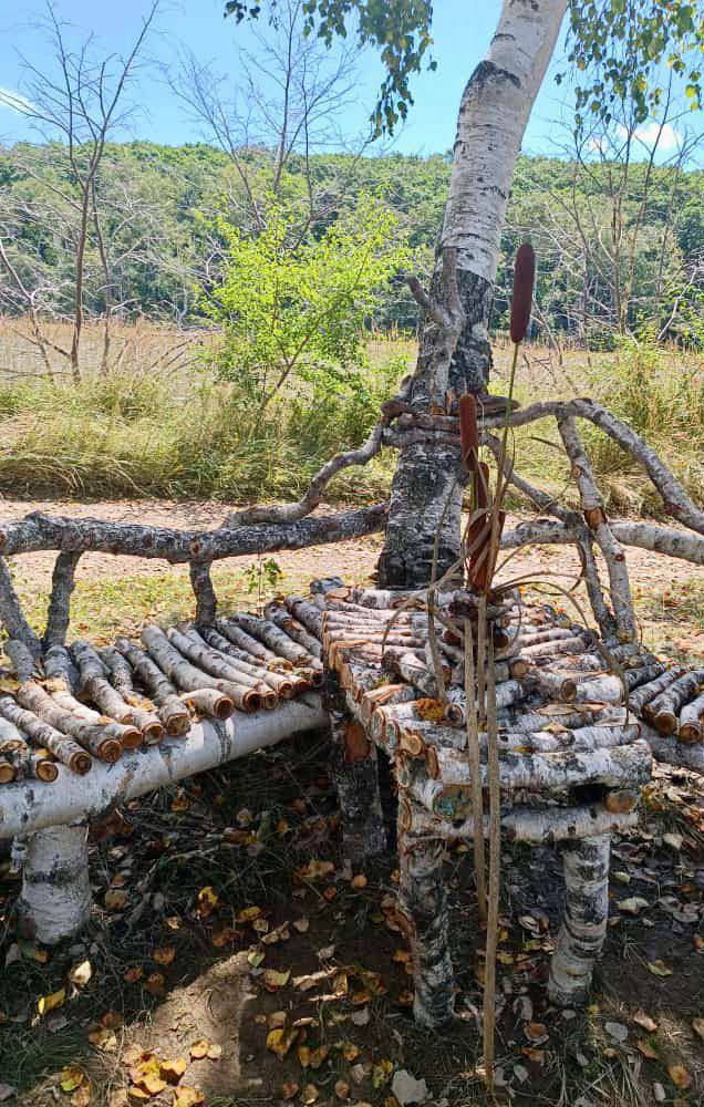 Житель Приморья обустроил эко-тропу из поваленных тайфунами деревьев