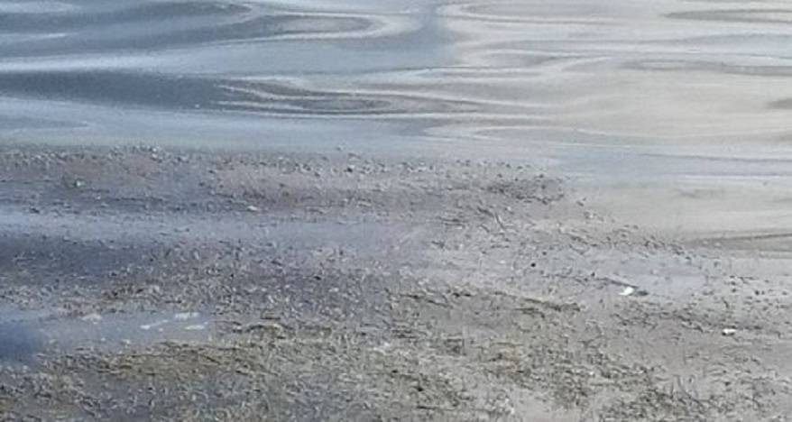 Мертвое тело обнаружено в воде на набережной приморского города Мертвое тело обнаружено в воде на набережной приморского города