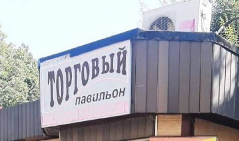 «Меня едва не отправили к прародителям»: ситуация у магазина напугала даму