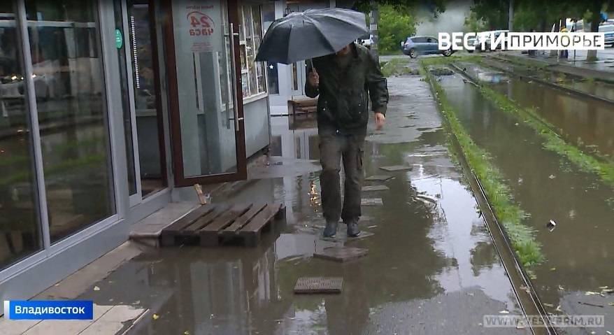Дожди и туманы пришли в Приморье Дожди и туманы пришли в Приморье