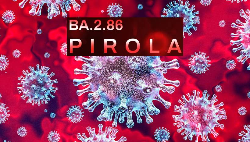 От коронавируса на Дальнем Востоке опять начали умирать люди От коронавируса на Дальнем Востоке опять начали умирать люди