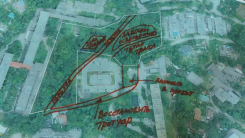 Природный парк с реликтовыми растениями на Кирова во Владивостоке преобразится Природный парк с реликтовыми растениями на Кирова во Владивостоке преобразится