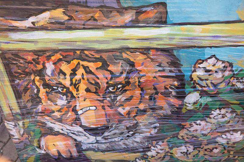 Городскими легендами распишут улицу Адмирала Фокина