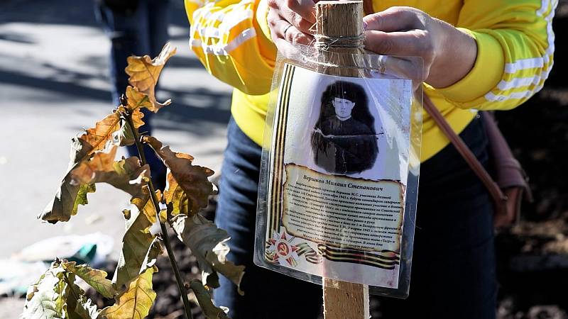 Дубовая аллея появилась на Второй Речке во Владивостоке