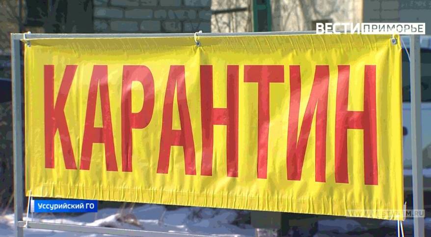Введен карантин: опасный вирус выявили в одном из сел Приморья Введен карантин: опасный вирус выявили в одном из сел Приморья