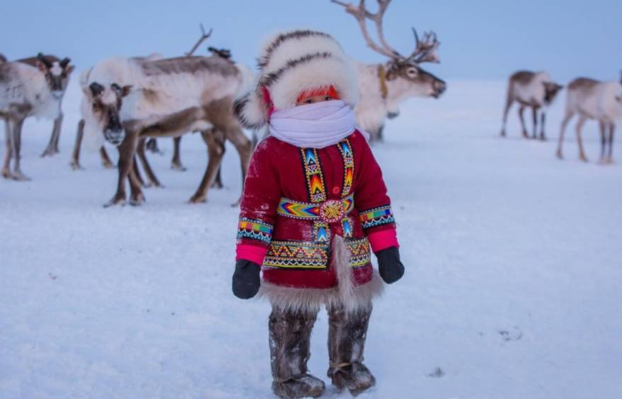 Дальневосточные ученые разобрались, как адаптировать человека к условиям крайнего Севера Дальневосточные ученые разобрались, как адаптировать человека к условиям крайнего Севера