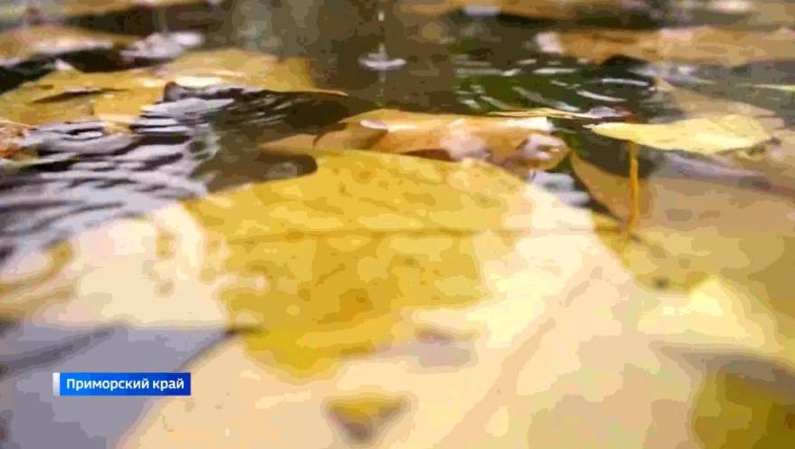 Сильные дожди обрушатся на Приморье - ноябрь начнется с серьезного ухудшения погоды